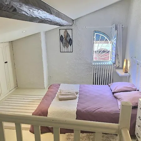 Apartment Duplex En Hypercentre Montauban