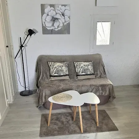 Duplex En Hypercentre * Montauban